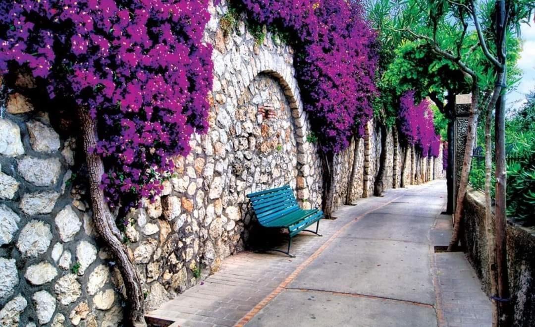 Nafpaktos Studio In Port Ιι Dış mekan fotoğraf